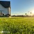 lawn3.jpg