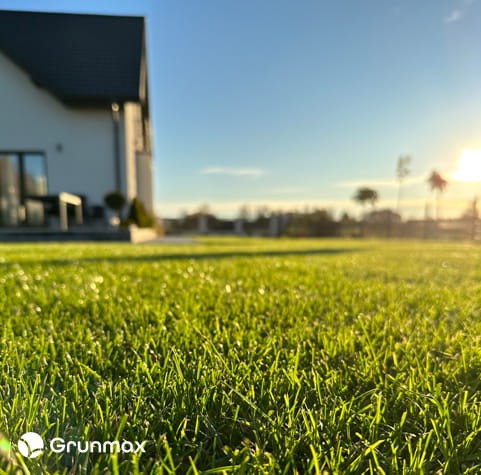 lawn3.jpg