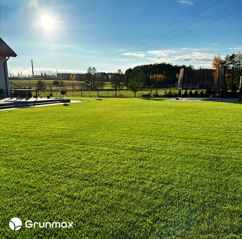 lawn4.jpg